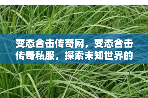 变态合击传奇网,变态合击传奇私服,探索未知世界的奇幻之旅 变态合击传奇网,变态合击传奇私服,探索未知世界的奇幻之旅