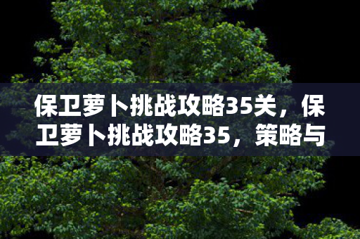 保卫萝卜挑战攻略35关,保卫萝卜挑战攻略35,策略与技巧的深度解析 保卫萝卜挑战攻略35关,保卫萝卜挑战攻略35,策略与技巧的深度解析
