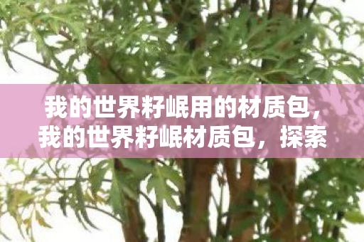 我的世界籽岷用的材质包,我的世界籽岷材质包,探索个性化游戏世界的奇妙之旅 我的世界籽岷用的材质包,我的世界籽岷材质包,探索个性化游戏世界的奇妙之旅