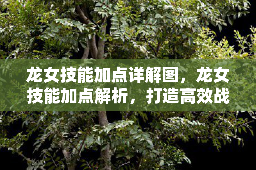 龙女技能加点详解图,龙女技能加点解析,打造高效战斗力的关键 龙女技能加点详解图,龙女技能加点解析,打造高效战斗力的关键