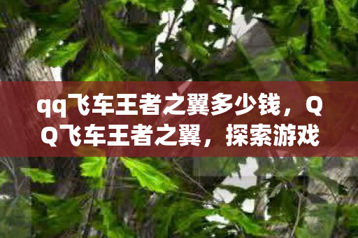 qq飞车王者之翼多少钱,QQ飞车王者之翼,探索游戏世界的无限可能 qq飞车王者之翼多少钱,QQ飞车王者之翼,探索游戏世界的无限可能