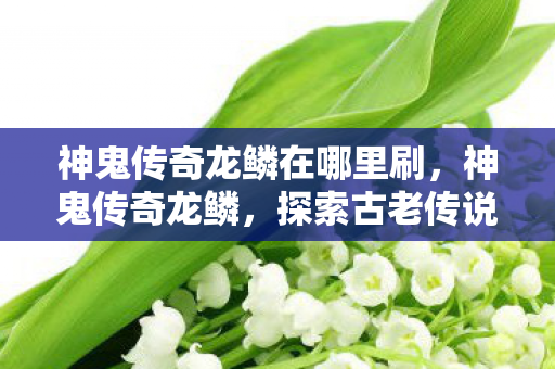 神鬼传奇龙鳞在哪里刷,神鬼传奇龙鳞,探索古老传说中的神秘力量 神鬼传奇龙鳞在哪里刷,神鬼传奇龙鳞,探索古老传说中的神秘力量