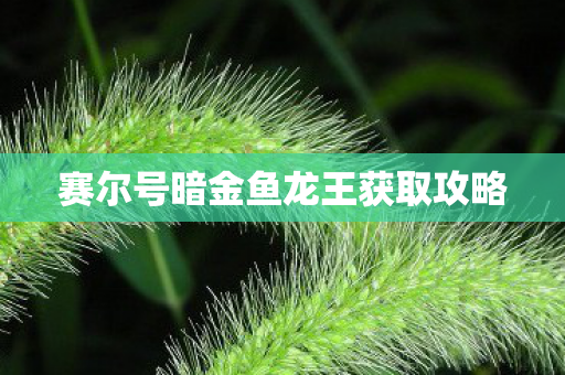 赛尔号暗金鱼龙王获取攻略 赛尔号暗金鱼龙王获取攻略