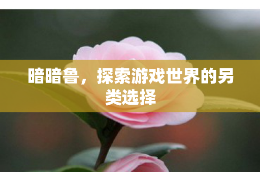 暗暗鲁,探索游戏世界的另类选择 暗暗鲁,探索游戏世界的另类选择