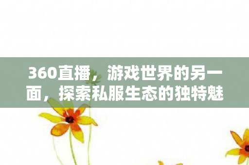 360直播,游戏世界的另一面,探索私服生态的独特魅力 360直播,游戏世界的另一面,探索私服生态的独特魅力