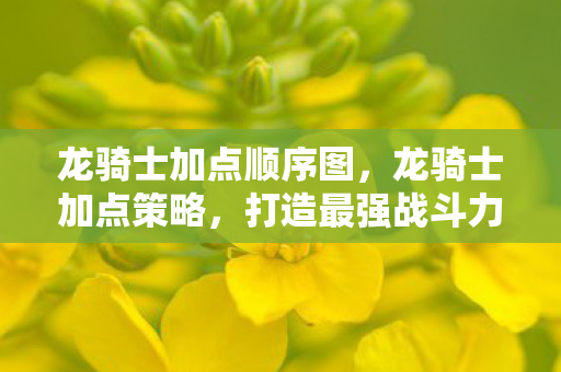 龙骑士加点顺序图,龙骑士加点策略,打造最强战斗力的关键 龙骑士加点顺序图,龙骑士加点策略,打造最强战斗力的关键
