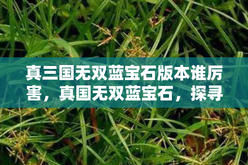 真三国无双蓝宝石版本谁厉害,真国无双蓝宝石,探寻传奇世界的璀璨瑰宝 真三国无双蓝宝石版本谁厉害,真国无双蓝宝石,探寻传奇世界的璀璨瑰宝