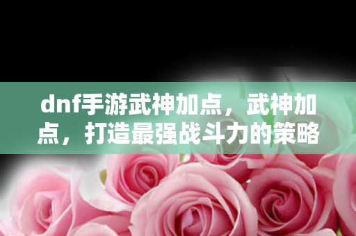 dnf手游武神加点,武神加点,打造最强战斗力的策略指南 dnf手游武神加点,武神加点,打造最强战斗力的策略指南