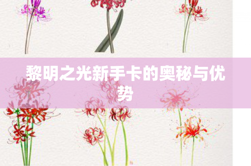 黎明之光新手卡的奥秘与优势 黎明之光新手卡的奥秘与优势