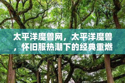 太平洋魔兽网，太平洋魔兽，怀旧服热潮下的经典重燃