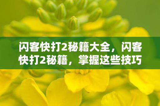 闪客快打2秘籍大全,闪客快打2秘籍,掌握这些技巧,轻松通关! 闪客快打2秘籍大全,闪客快打2秘籍,掌握这些技巧,轻松通关!