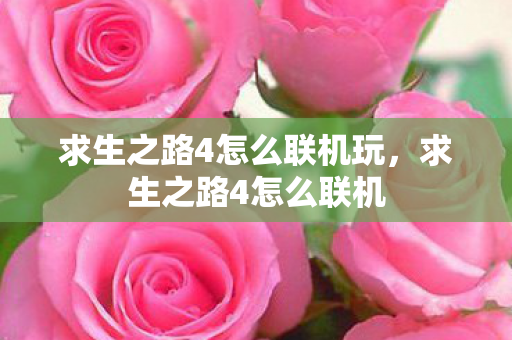 求生之路4怎么联机玩,求生之路4怎么联机 求生之路4怎么联机玩,求生之路4怎么联机