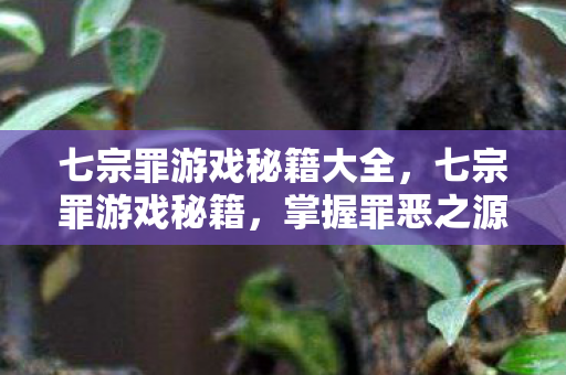 七宗罪游戏秘籍大全,七宗罪游戏秘籍,掌握罪恶之源,征服游戏世界 七宗罪游戏秘籍大全,七宗罪游戏秘籍,掌握罪恶之源,征服游戏世界