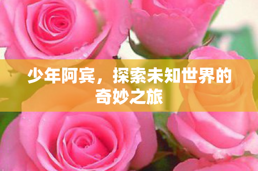 少年阿宾,探索未知世界的奇妙之旅 少年阿宾,探索未知世界的奇妙之旅