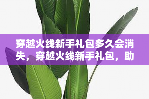 穿越火线新手礼包多久会消失,穿越火线新手礼包,助你快速上手的绝佳选择 穿越火线新手礼包多久会消失,穿越火线新手礼包,助你快速上手的绝佳选择