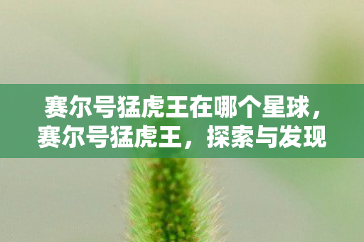 赛尔号猛虎王在哪个星球,赛尔号猛虎王,探索与发现的奇妙之旅 赛尔号猛虎王在哪个星球,赛尔号猛虎王,探索与发现的奇妙之旅
