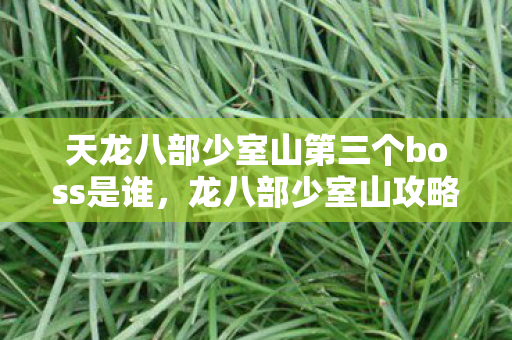 天龙八部少室山第三个boss是谁,龙八部少室山攻略,探索神秘之地的全面指南 天龙八部少室山第三个boss是谁,龙八部少室山攻略,探索神秘之地的全面指南