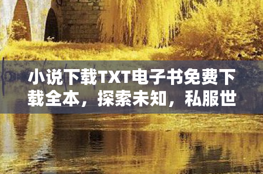 小说下载TXT电子书免费下载全本，探索未知，私服世界的奇妙之旅