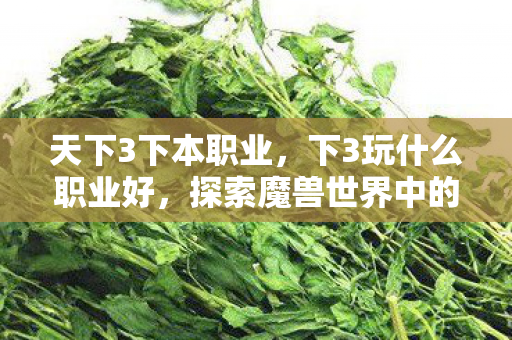 天下3下本职业，下3玩什么职业好，探索魔兽世界中的三大热门职业