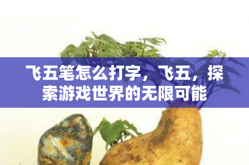 飞五笔怎么打字,飞五,探索游戏世界的无限可能 飞五笔怎么打字,飞五,探索游戏世界的无限可能
