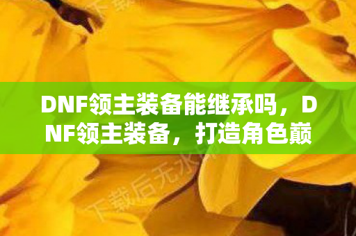 DNF领主装备能继承吗,DNF领主装备,打造角色巅峰的必备神器 DNF领主装备能继承吗,DNF领主装备,打造角色巅峰的必备神器