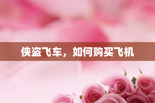 侠盗飞车,如何购买飞机 侠盗飞车,如何购买飞机
