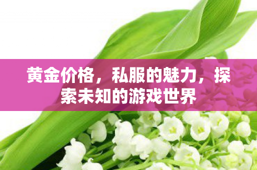 黄金价格,私服的魅力,探索未知的游戏世界 黄金价格,私服的魅力,探索未知的游戏世界