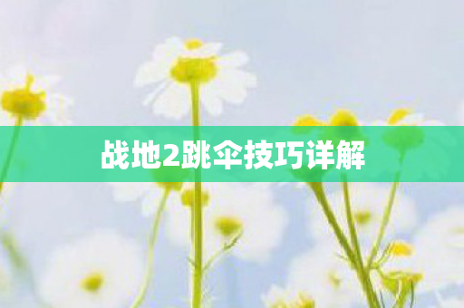 战地2跳伞技巧详解 战地2跳伞技巧详解