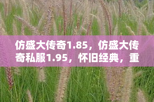仿盛大传奇1.85,仿盛大传奇私服1.95,怀旧经典,重温传奇 仿盛大传奇1.85,仿盛大传奇私服1.95,怀旧经典,重温传奇
