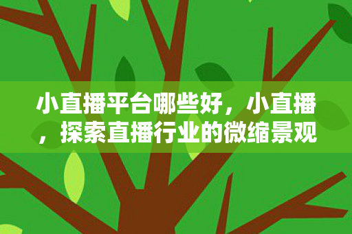 小直播平台哪些好,小直播,探索直播行业的微缩景观 小直播平台哪些好,小直播,探索直播行业的微缩景观