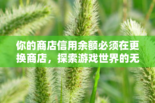 你的商店信用余额必须在更换商店,探索游戏世界的无限可能,私服与官方服务器的独特魅力 你的商店信用余额必须在更换商店,探索游戏世界的无限可能,私服与官方服务器的独特魅力