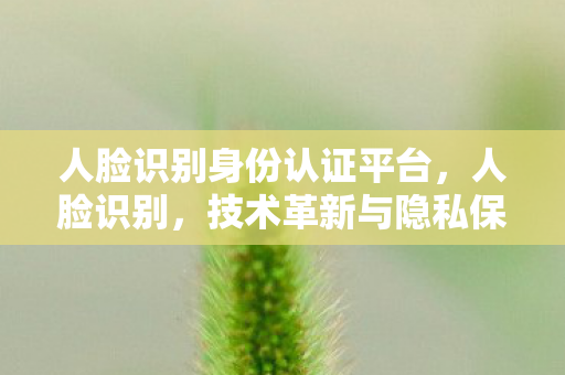 人脸识别身份认证平台，人脸识别，技术革新与隐私保护的双重挑战