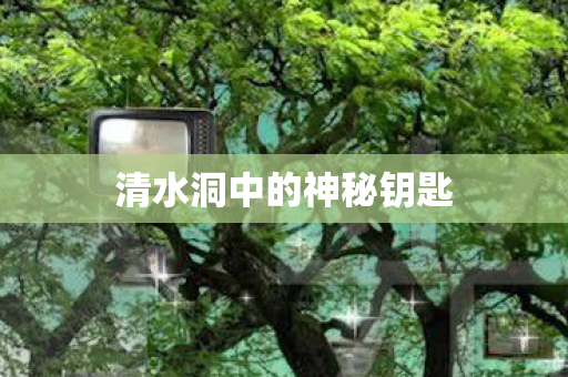 清水洞中的神秘钥匙 清水洞中的神秘钥匙