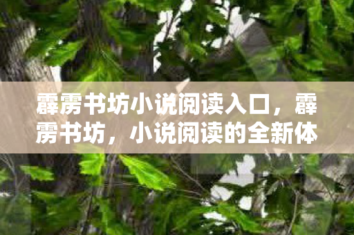 霹雳书坊小说阅读入口,霹雳书坊,小说阅读的全新体验 霹雳书坊小说阅读入口,霹雳书坊,小说阅读的全新体验