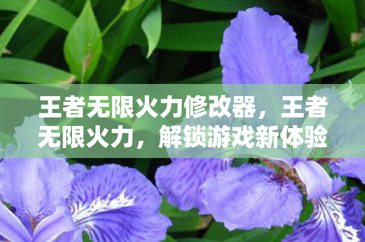 王者无限火力修改器,王者无限火力,解锁游戏新体验,探索无限可能 王者无限火力修改器,王者无限火力,解锁游戏新体验,探索无限可能
