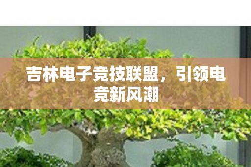 吉林电子竞技联盟,引领电竞新风潮 吉林电子竞技联盟,引领电竞新风潮