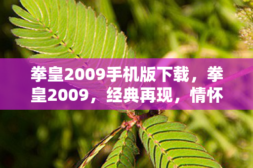拳皇2009手机版下载,拳皇2009,经典再现,情怀与创新的完美融合 拳皇2009手机版下载,拳皇2009,经典再现,情怀与创新的完美融合