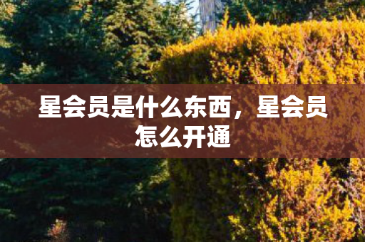 星会员是什么东西,星会员怎么开通 星会员是什么东西,星会员怎么开通