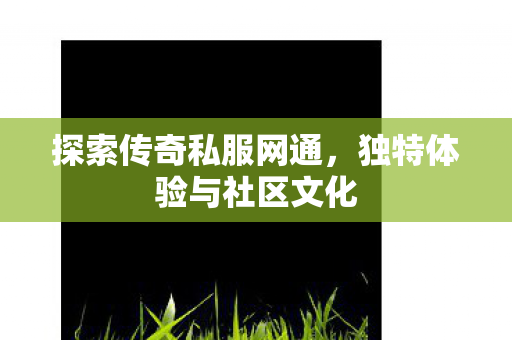 探索传奇私服网通,独特体验与社区文化 探索传奇私服网通,独特体验与社区文化