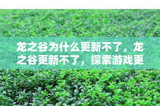 龙之谷为什么更新不了,龙之谷更新不了,探索游戏更新困境的深层原因 龙之谷为什么更新不了,龙之谷更新不了,探索游戏更新困境的深层原因