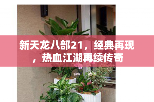 新天龙八部21,经典再现,热血江湖再续传奇 新天龙八部21,经典再现,热血江湖再续传奇