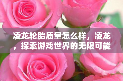 凌龙轮胎质量怎么样,凌龙,探索游戏世界的无限可能 凌龙轮胎质量怎么样,凌龙,探索游戏世界的无限可能