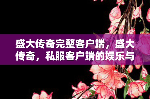 盛大传奇完整客户端,盛大传奇,私服客户端的娱乐与社交新体验 盛大传奇完整客户端,盛大传奇,私服客户端的娱乐与社交新体验