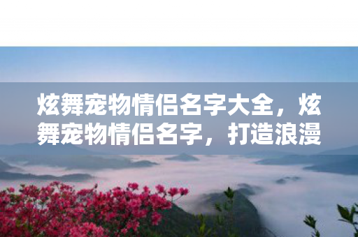 炫舞宠物情侣名字大全，炫舞宠物情侣名字，打造浪漫情缘的专属昵称