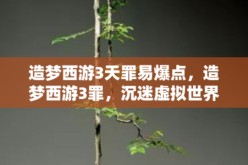 造梦西游3天罪易爆点,造梦西游3罪,沉迷虚拟世界,现实与梦幻的界限模糊 造梦西游3天罪易爆点,造梦西游3罪,沉迷虚拟世界,现实与梦幻的界限模糊