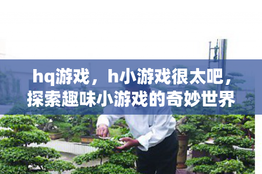 hq游戏，h小游戏很太吧，探索趣味小游戏的奇妙世界