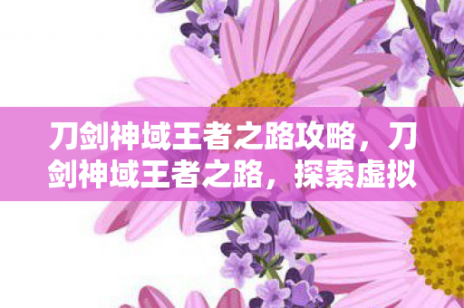 刀剑神域王者之路攻略，刀剑神域王者之路，探索虚拟世界的无尽征途