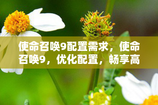 使命召唤9配置需求,使命召唤9,优化配置,畅享高清游戏体验 使命召唤9配置需求,使命召唤9,优化配置,畅享高清游戏体验
