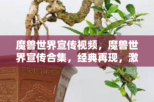 魔兽世界宣传视频,魔兽世界宣传合集,经典再现,激情燃烧的岁月 魔兽世界宣传视频,魔兽世界宣传合集,经典再现,激情燃烧的岁月