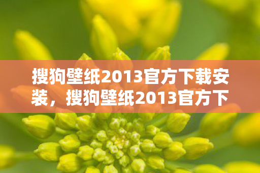 搜狗壁纸2013官方下载安装,搜狗壁纸2013官方下载,打造个性化桌面,从官方渠道开始 搜狗壁纸2013官方下载安装,搜狗壁纸2013官方下载,打造个性化桌面,从官方渠道开始